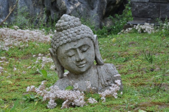 Le coin du schieve Boudha (schieve = de travers en Bruxellois)