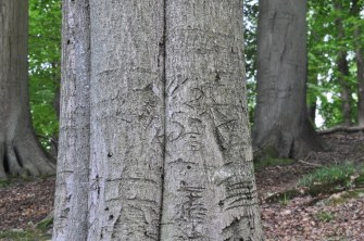 Les amants prétentieux